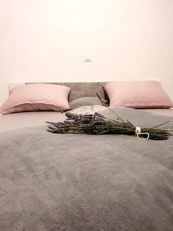 Apartman Skolj Jovici  Bagian luar foto